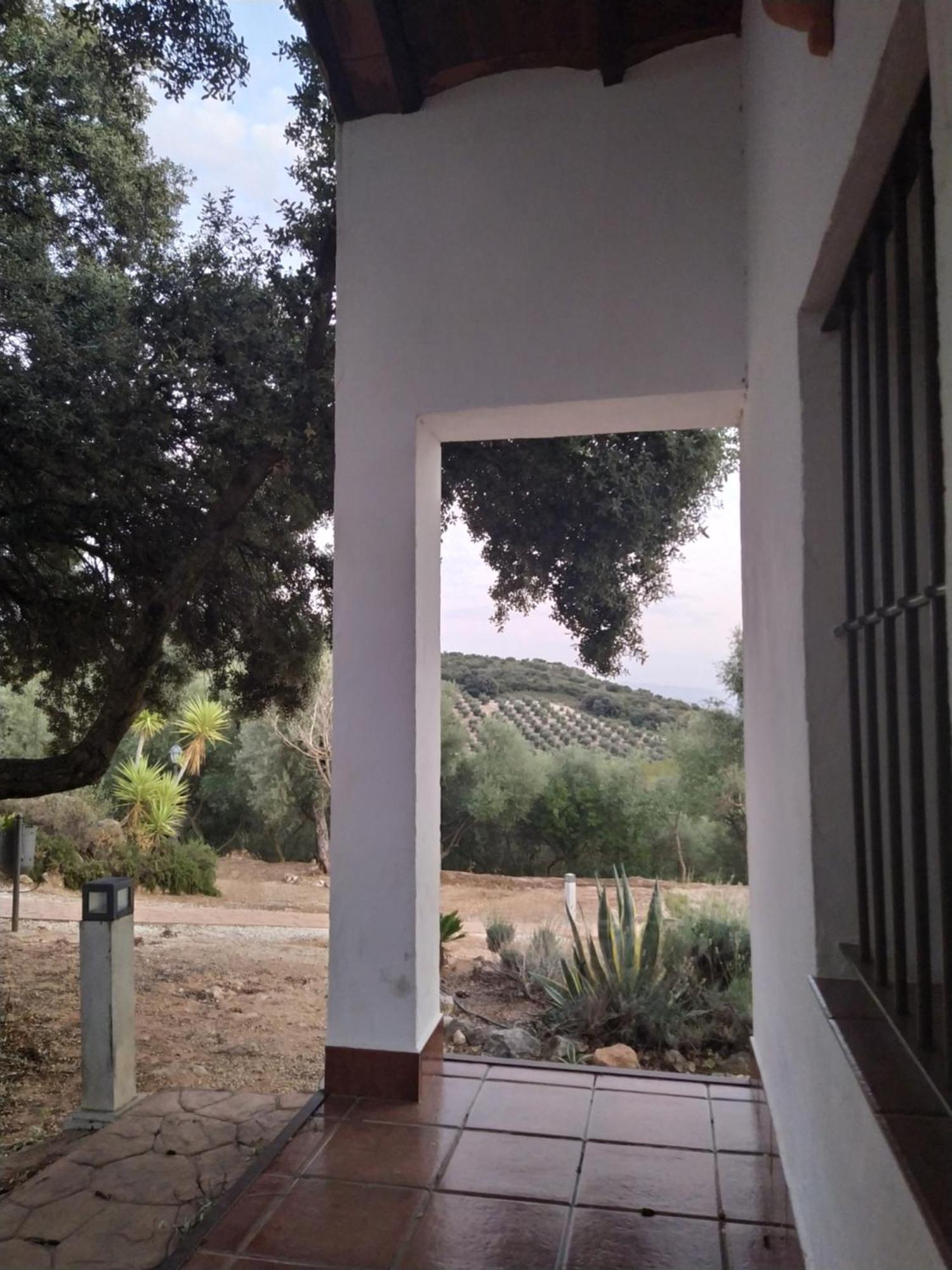 Casas Rurales Cortijo La Canada Естепа Стая снимка