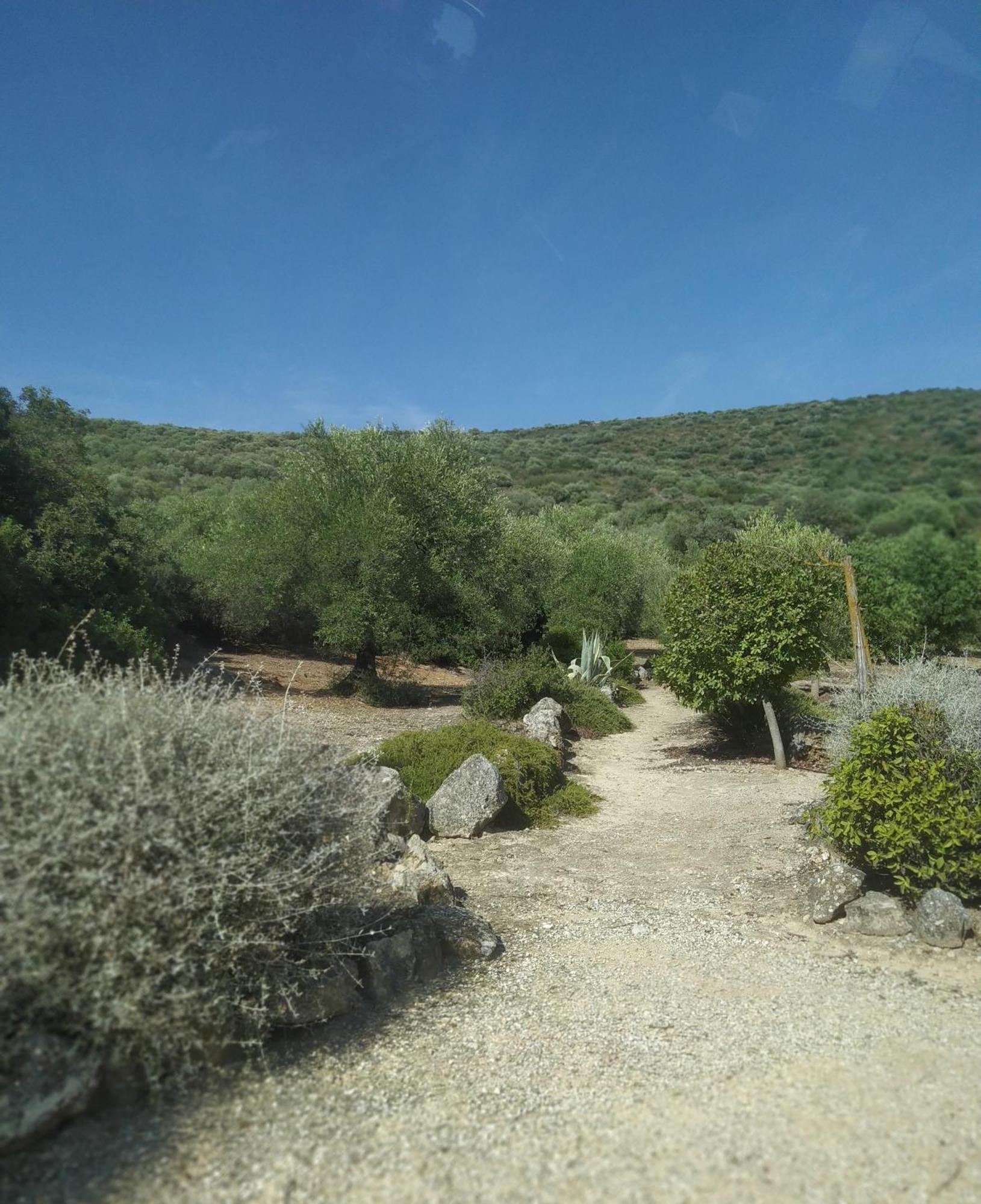Casas Rurales Cortijo La Canada Естепа Стая снимка