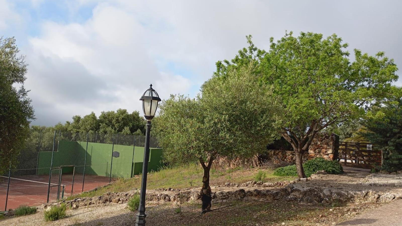 Casas Rurales Cortijo La Canada Естепа Екстериор снимка