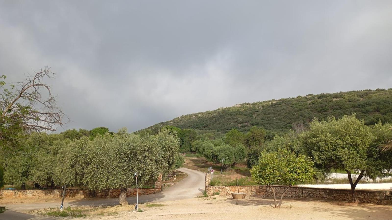 Casas Rurales Cortijo La Canada Естепа Екстериор снимка