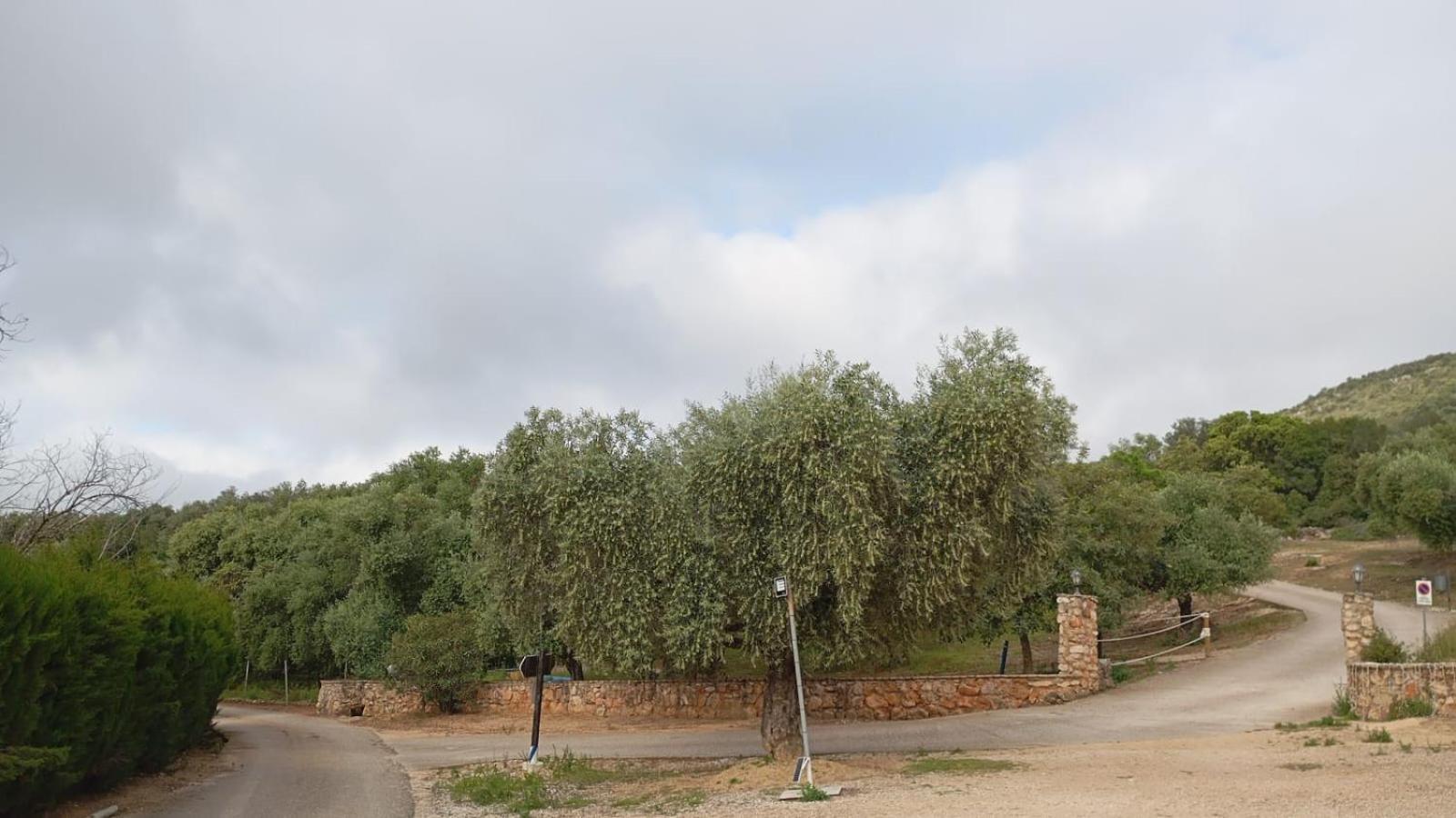 Casas Rurales Cortijo La Canada Естепа Екстериор снимка